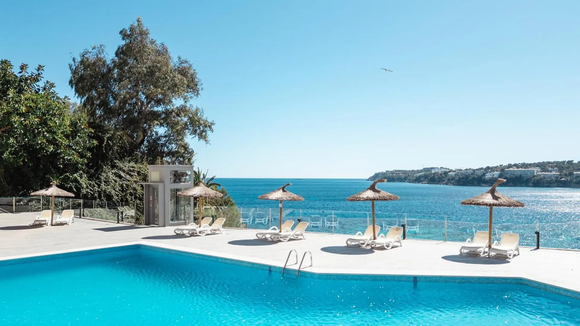 Bahia Principe Sunlight Coral Playa - Adults Only Hotel Magaluf  Magaluf (Mallorca)