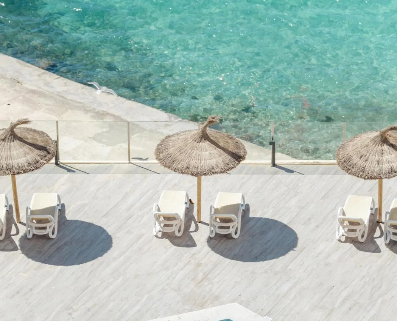 מלון מגאלוף Bahia Principe Sunlight Coral Playa - Adults Only 4*,  ספרד