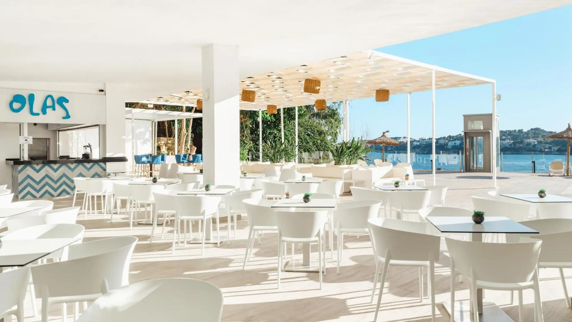 Bahia Principe Sunlight Coral Playa - Adults Only Hotel Magaluf  4*, Magaluf (Mallorca)